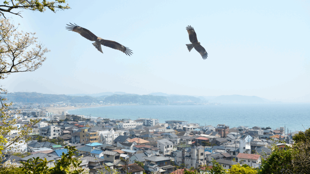 転職先の働きやすい地方